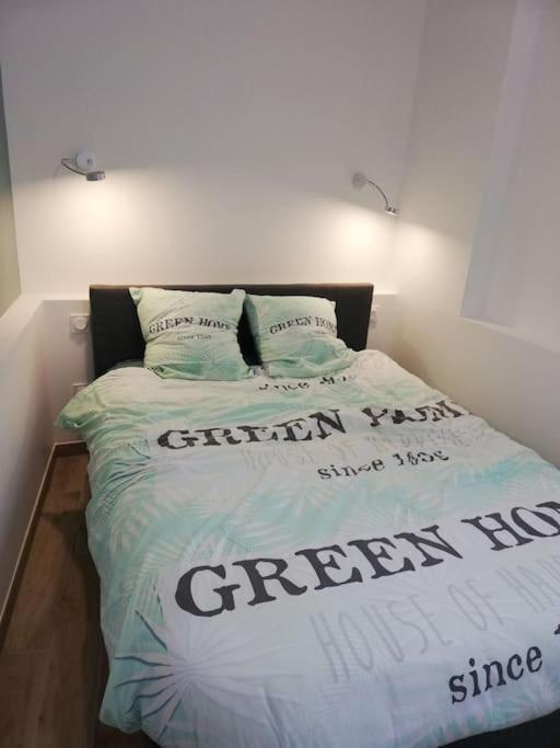 Bel Appartement Coeur De Grenoble Tout Equipe Dış mekan fotoğraf