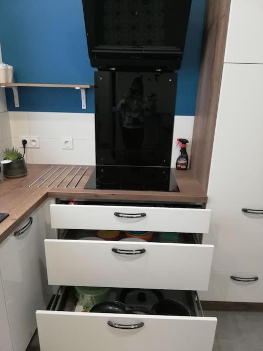 Bel Appartement Coeur De Grenoble Tout Equipe Dış mekan fotoğraf