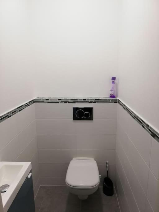 Bel Appartement Coeur De Grenoble Tout Equipe Dış mekan fotoğraf